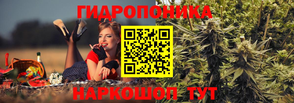 Котовск  Конопля планчик  Вход с VPN  Канабис индика  Бошки Шишки индика 